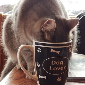 Meet your Posher, Terry